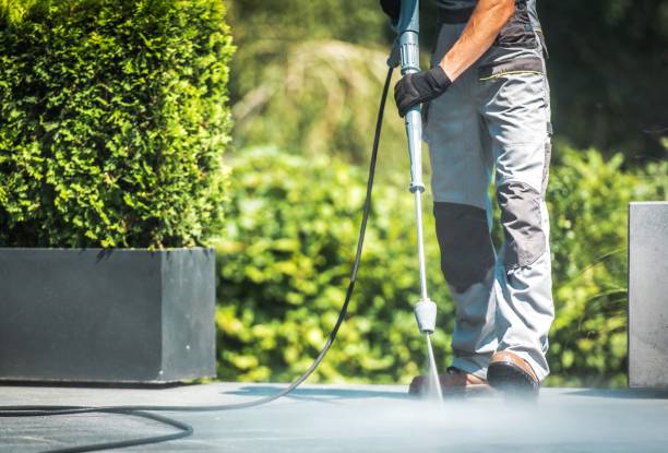 Best Animal Enclosure Cleaning  in Green Forest, AR